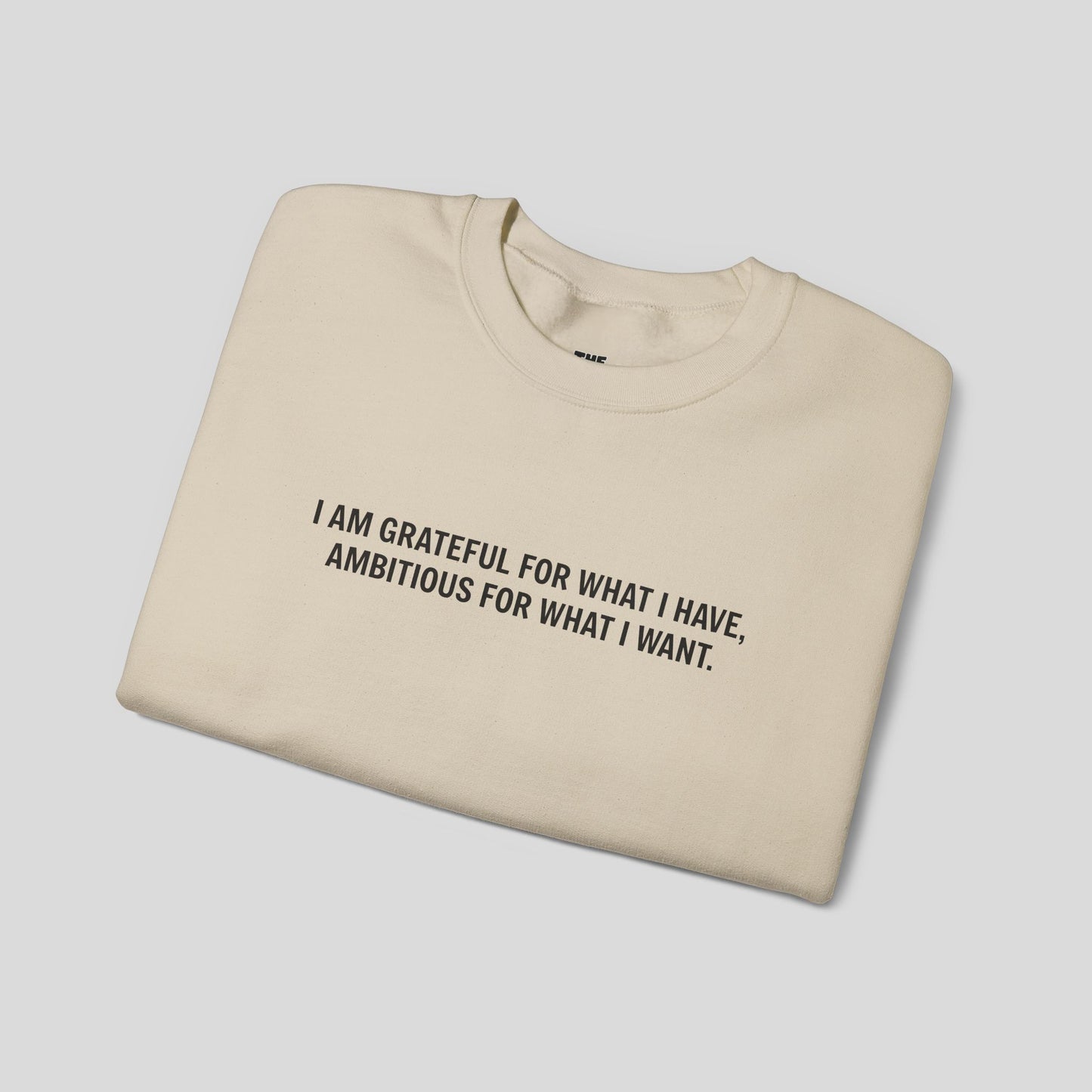 “Gratitude and Ambition Mode” sweatshirt
