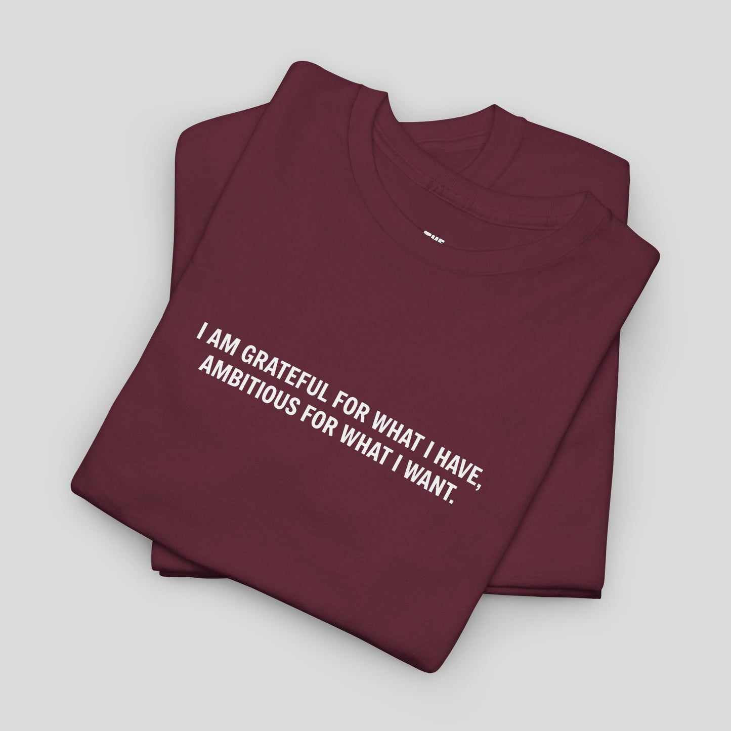 T-SHIRT: “Gratitude and Ambition Mode”