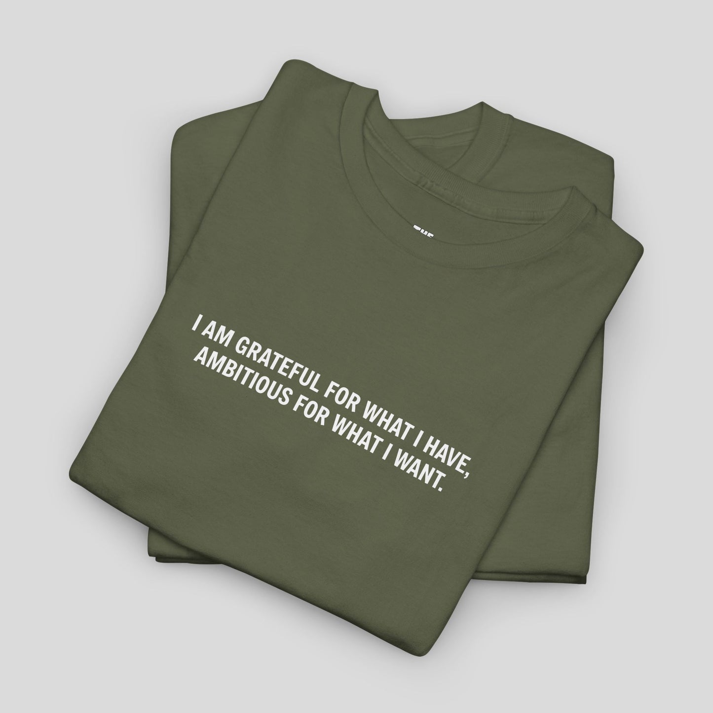 T-SHIRT: “Gratitude and Ambition Mode”