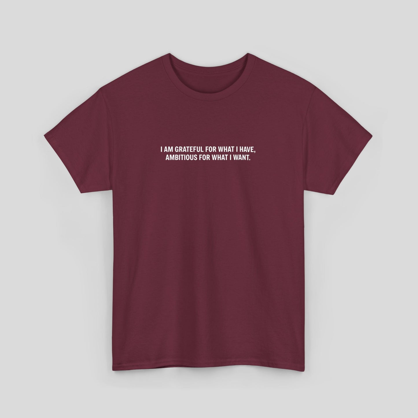 T-SHIRT: “Gratitude and Ambition Mode”