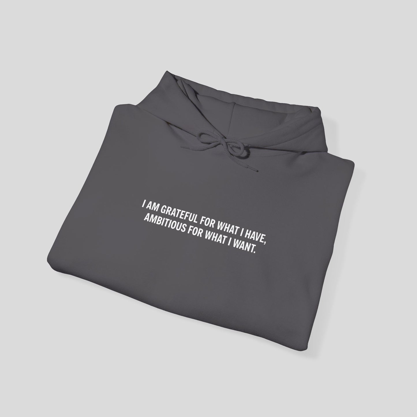 Hoodie: "Gratitude and Ambition Mode"