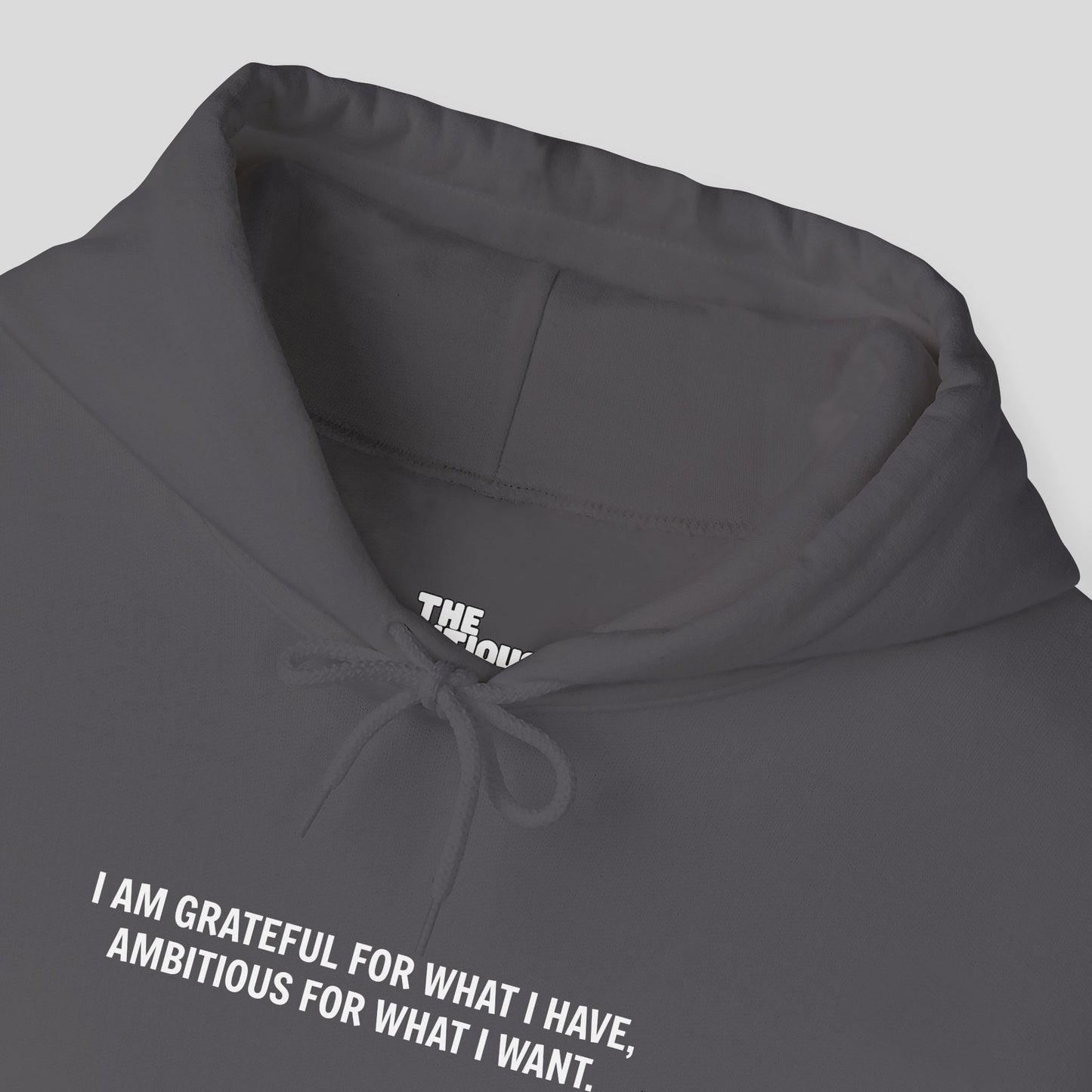 Hoodie: "Gratitude and Ambition Mode"