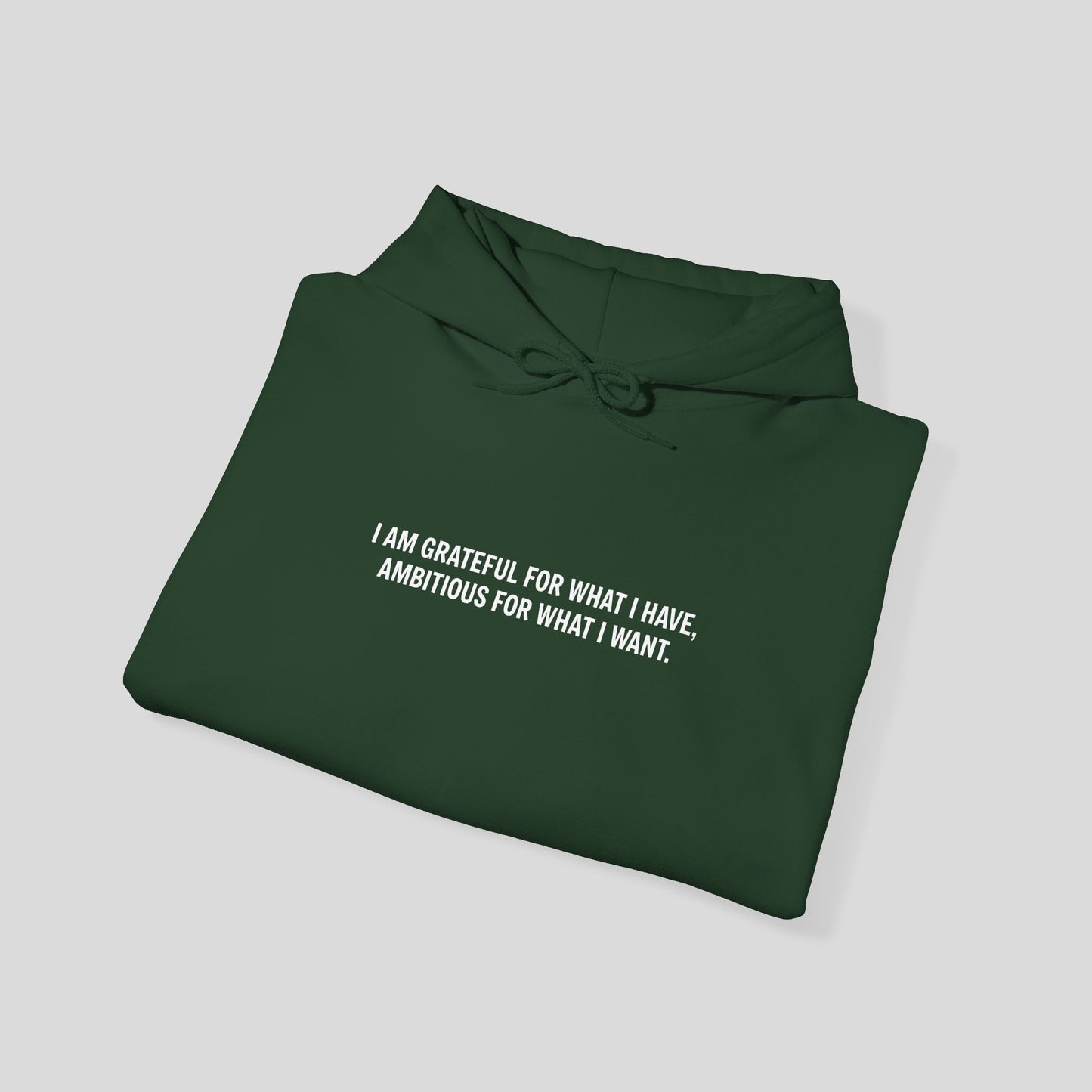 Hoodie: "Gratitude and Ambition Mode"