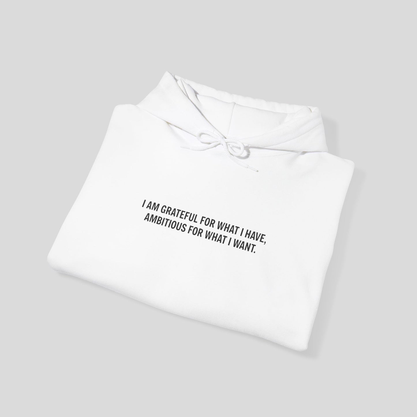 Hoodie: "Gratitude and Ambition Mode"