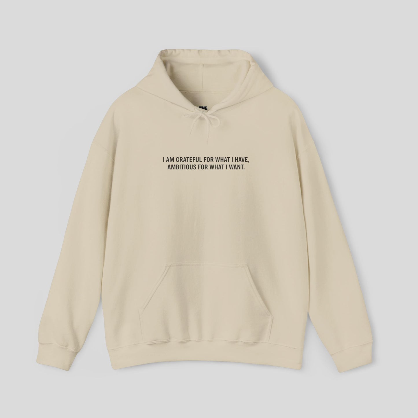Hoodie: "Gratitude and Ambition Mode"