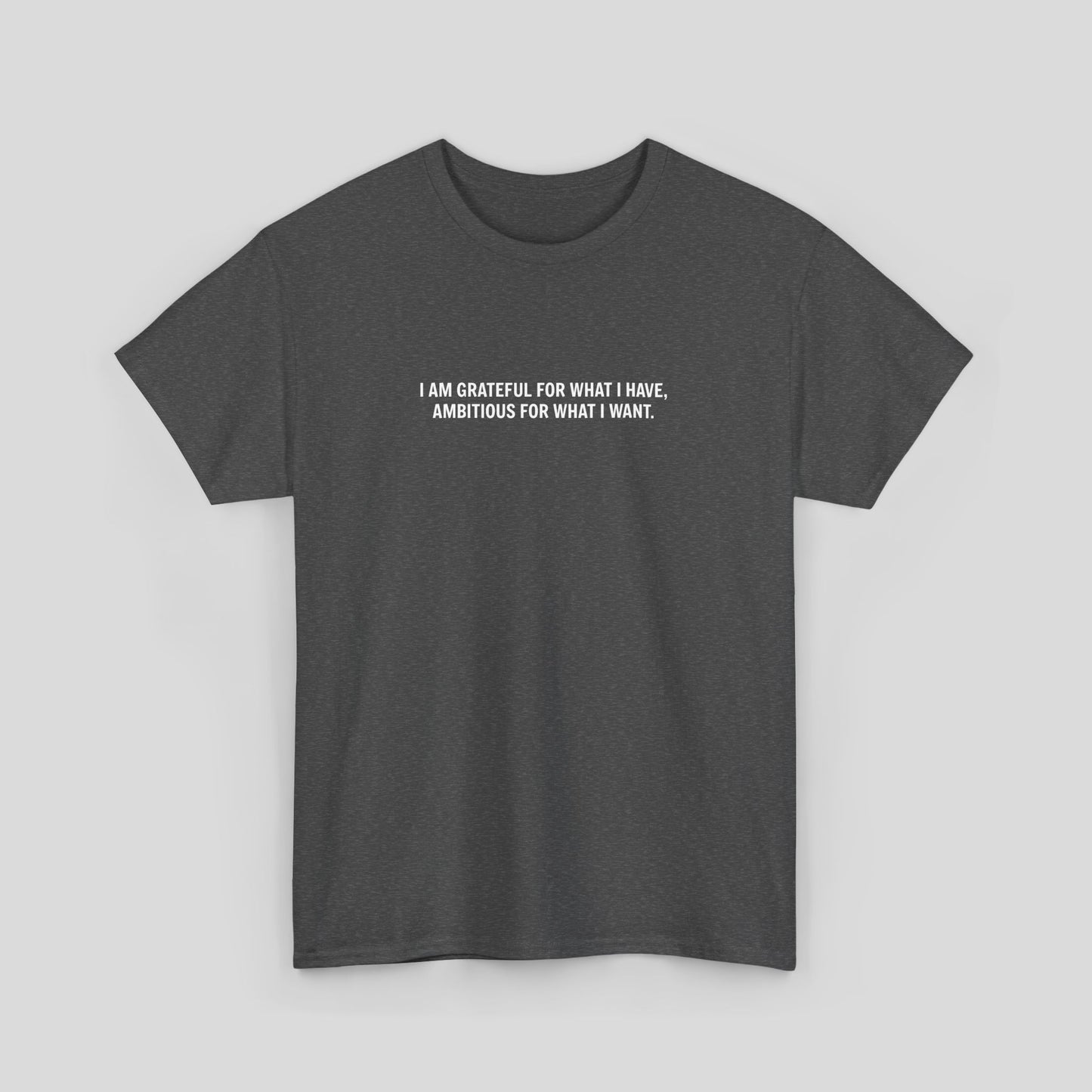 T-SHIRT: “Gratitude and Ambition Mode”