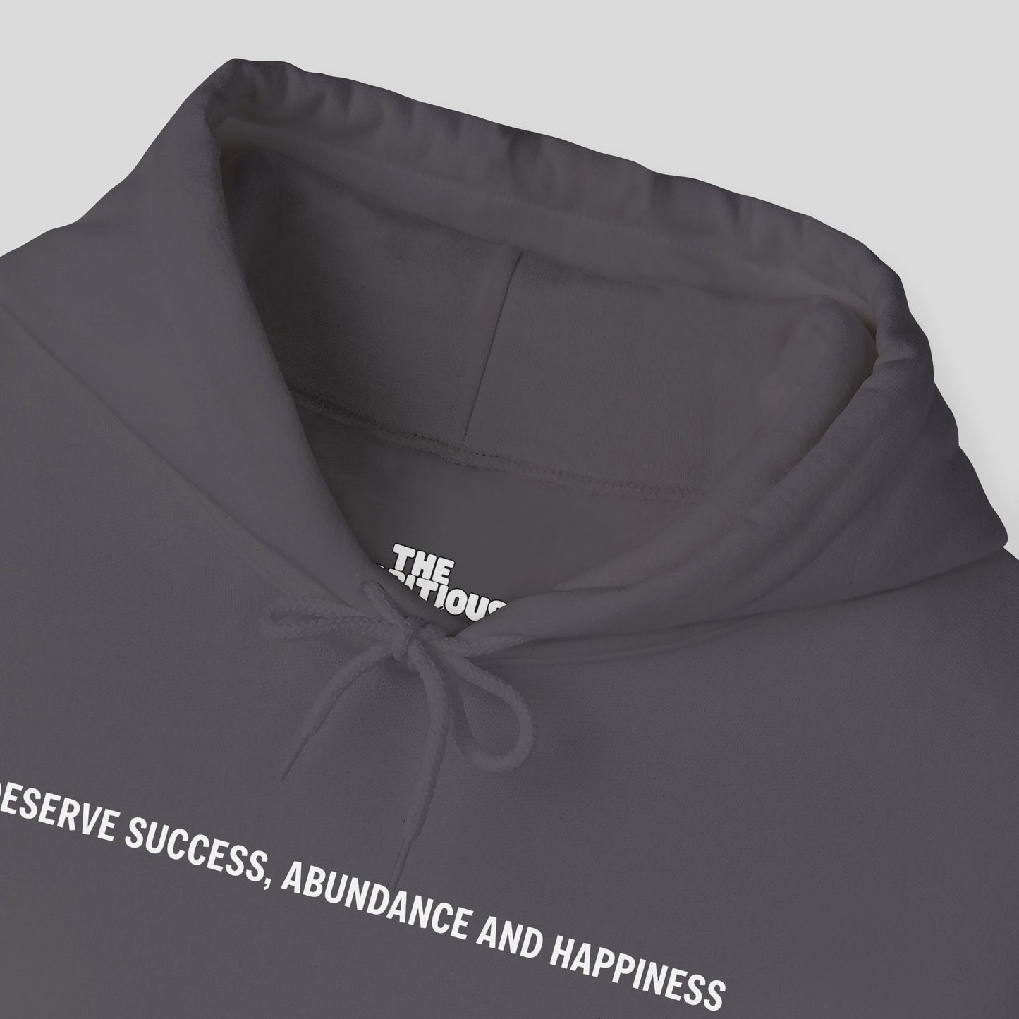 Hoodie: "Abundance Mode"