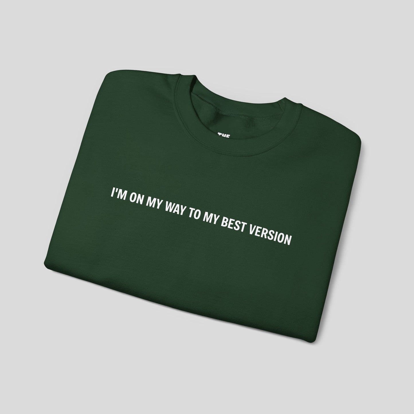 "Evolution Mode" Sweatshirt