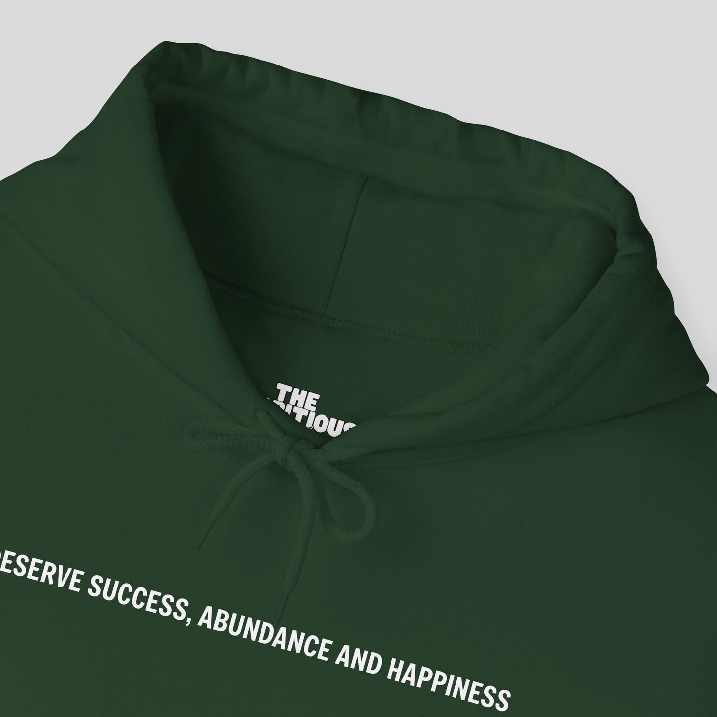 Hoodie: "Abundance Mode"