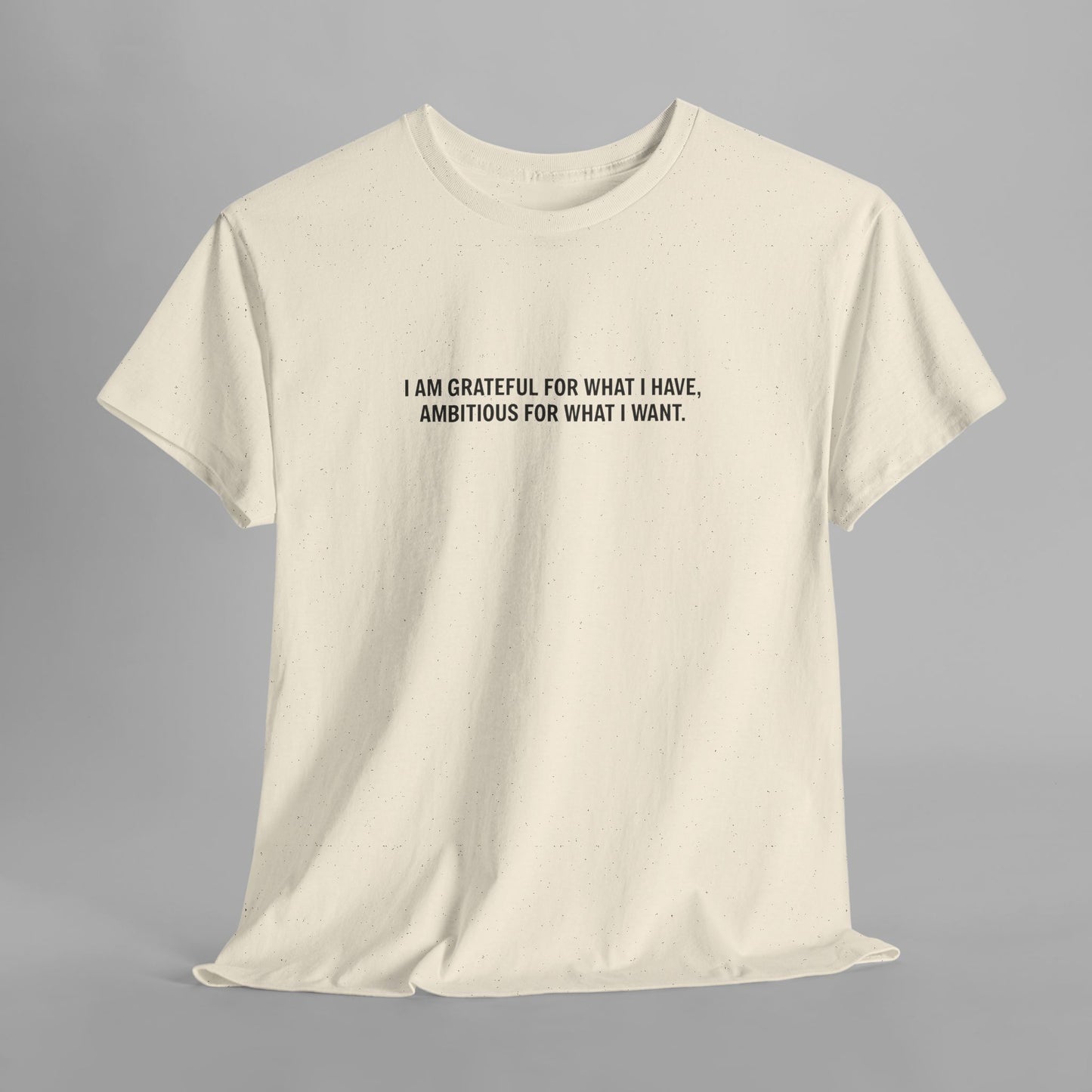 T-SHIRT: “Gratitude and Ambition Mode”