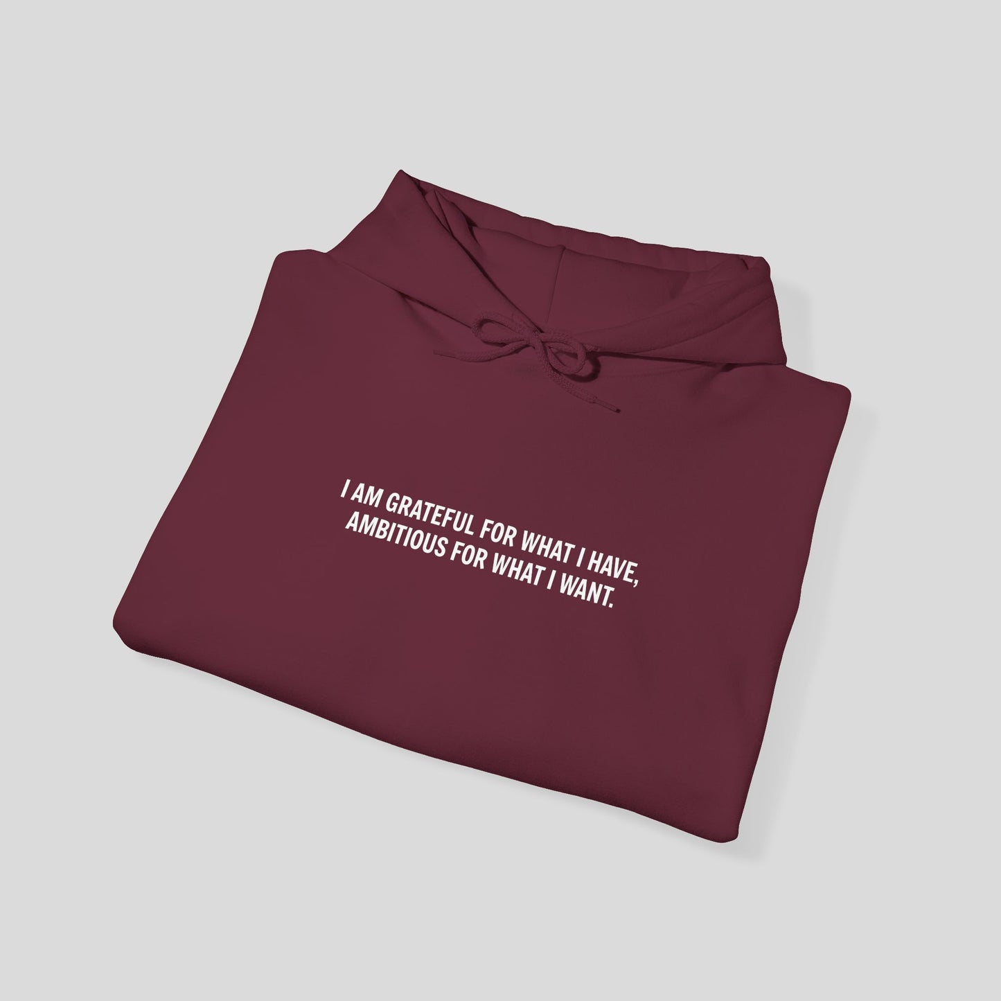 Hoodie: "Gratitude and Ambition Mode"