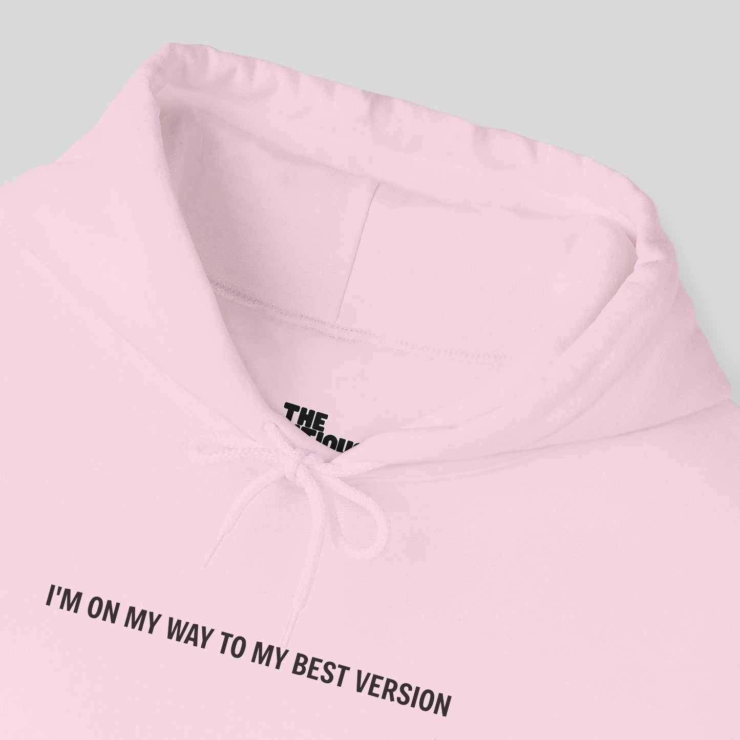 Hoodie: "Evolution Mode"