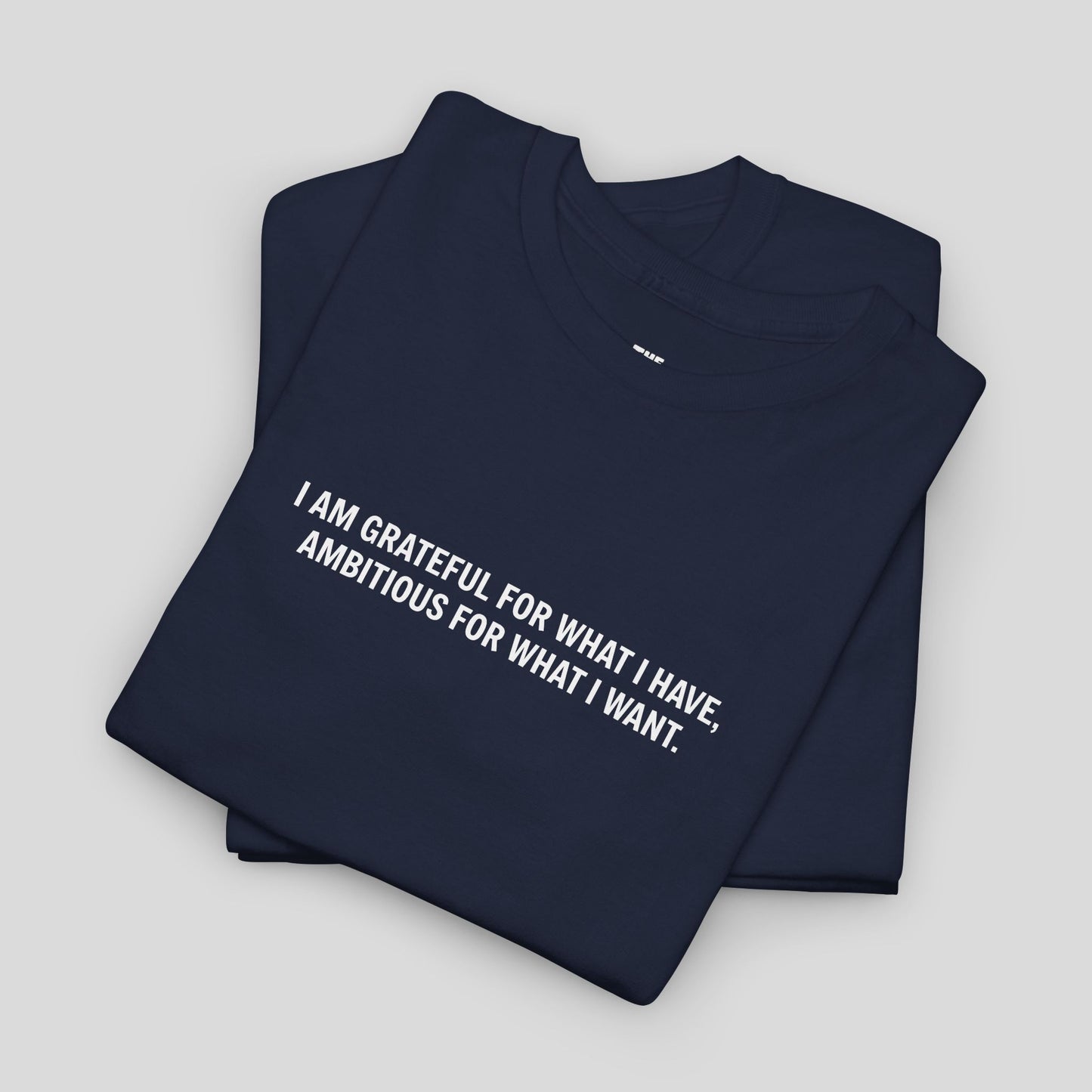 T-SHIRT: “Gratitude and Ambition Mode”