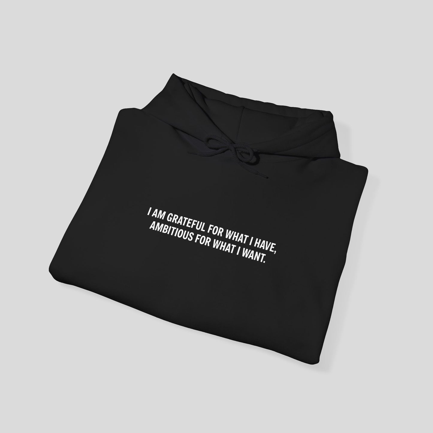 Hoodie: "Gratitude and Ambition Mode"