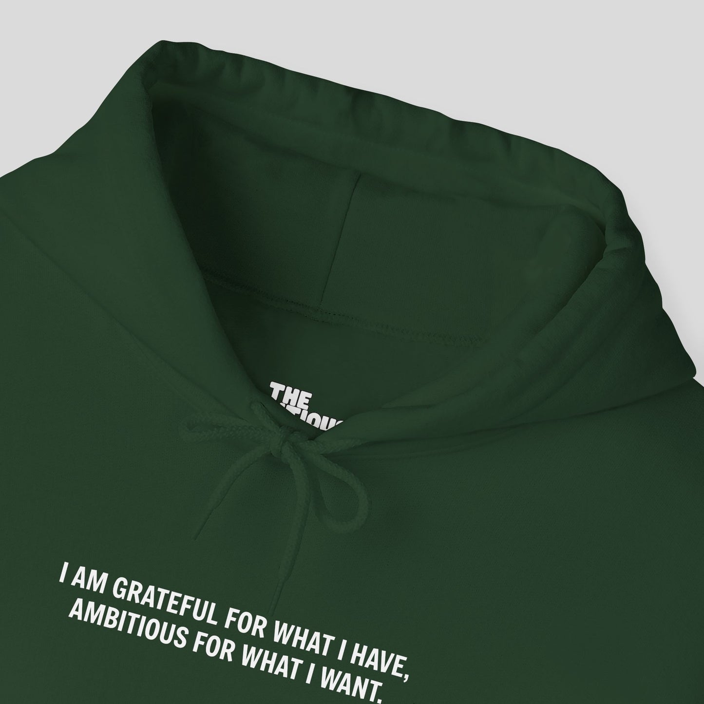 Hoodie: "Gratitude and Ambition Mode"