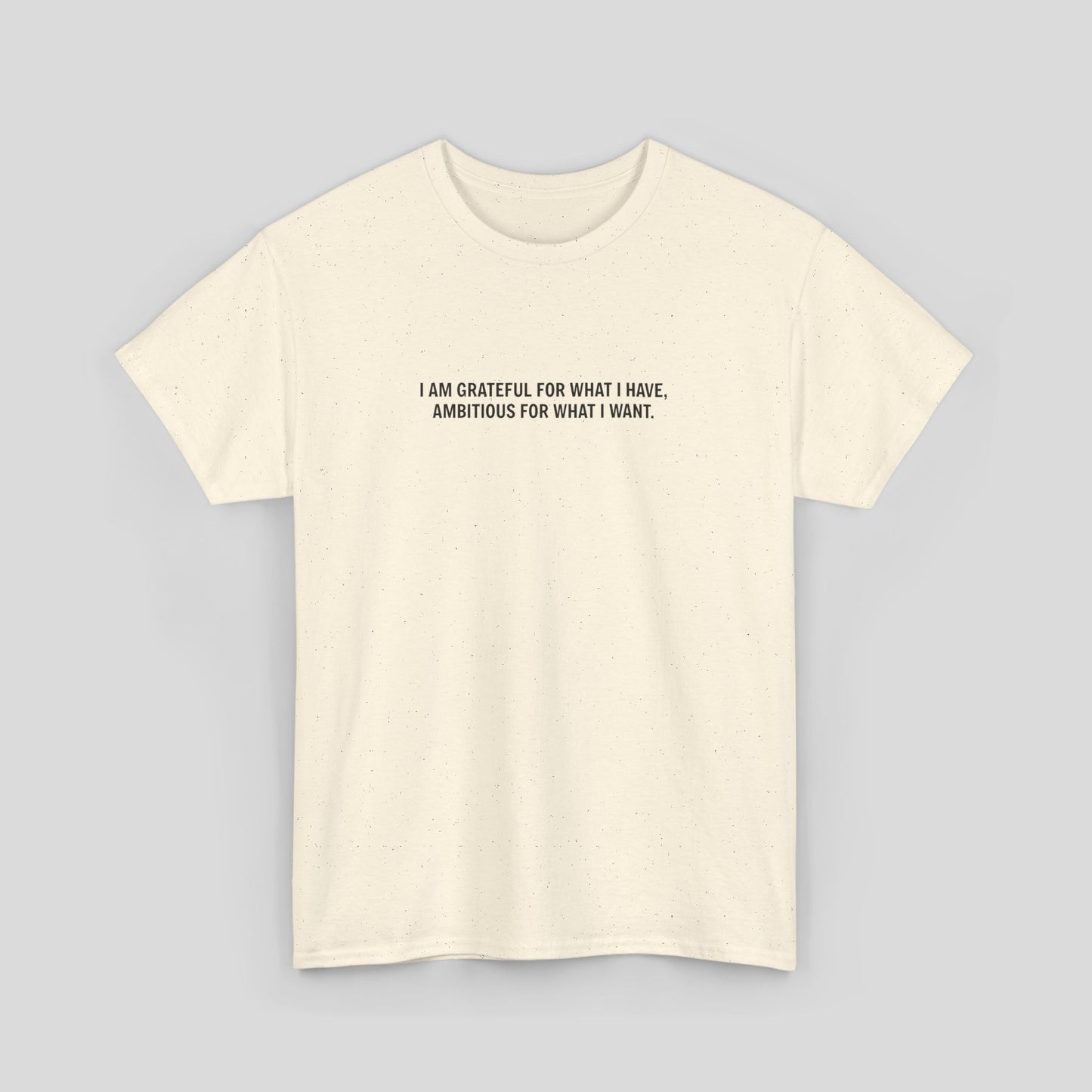 T-SHIRT: “Gratitude and Ambition Mode”