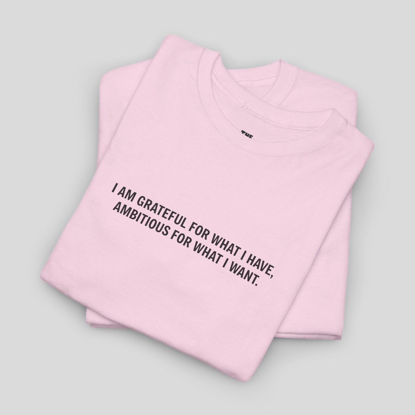 T-SHIRT: “Gratitude and Ambition Mode”