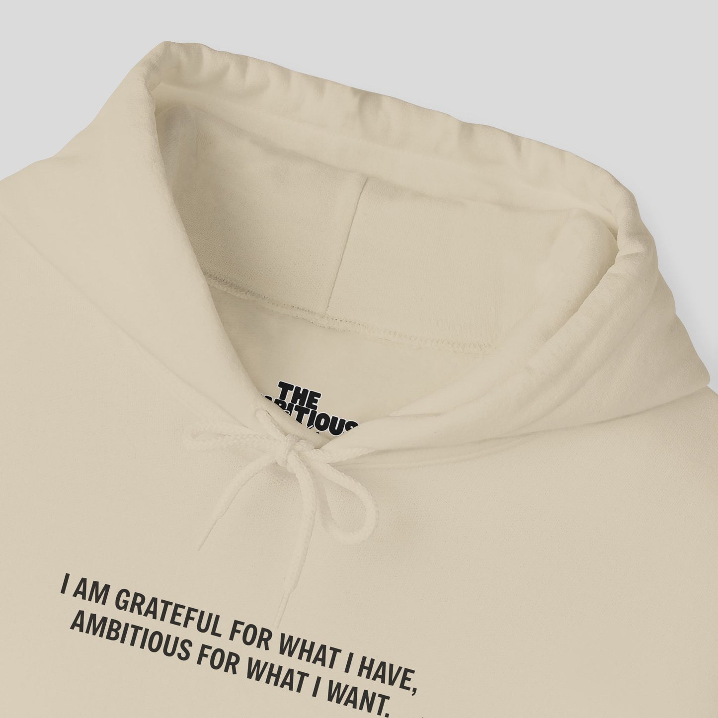 Hoodie: "Gratitude and Ambition Mode"