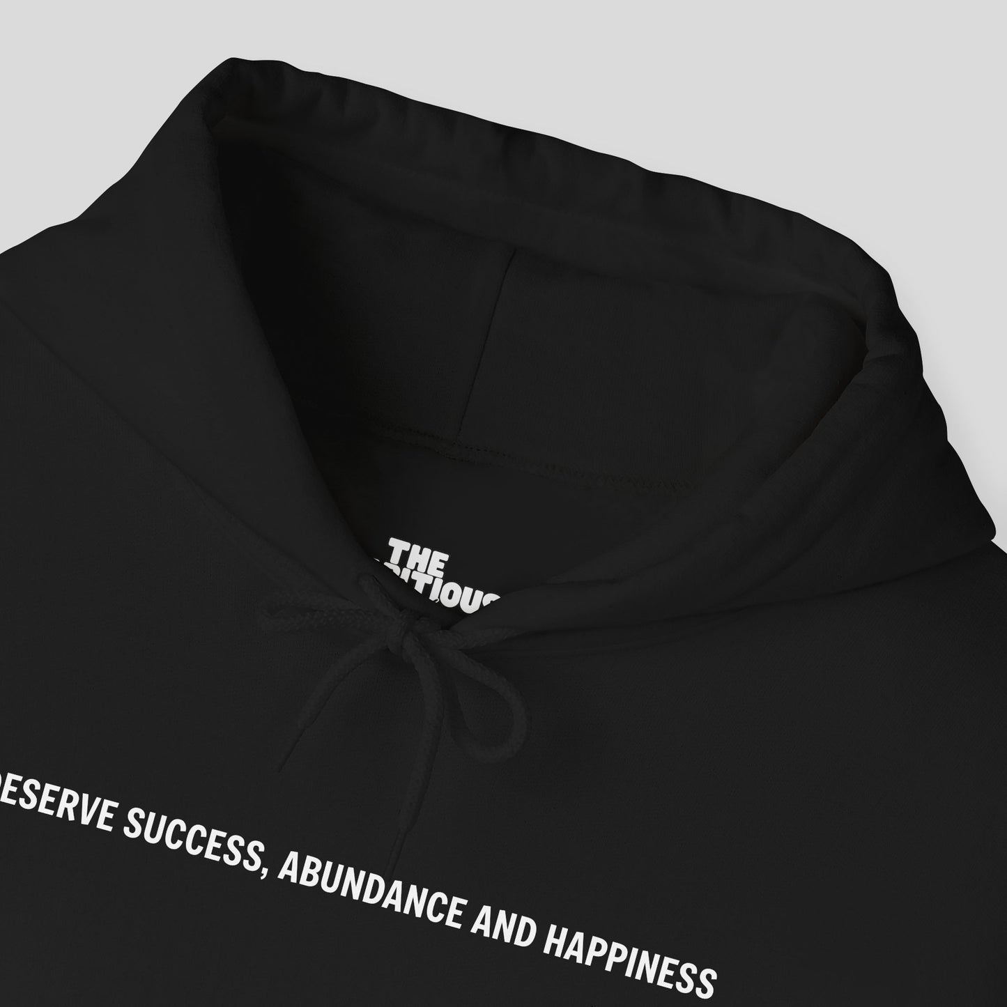 Hoodie: "Abundance Mode"