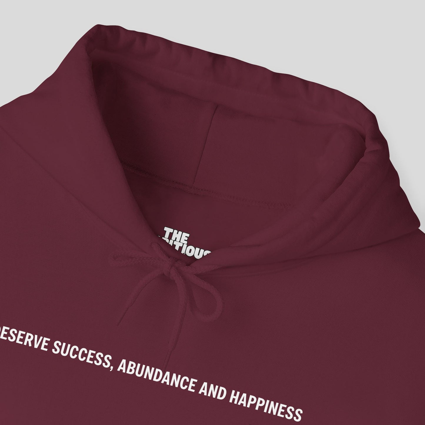 Hoodie: "Abundance Mode"
