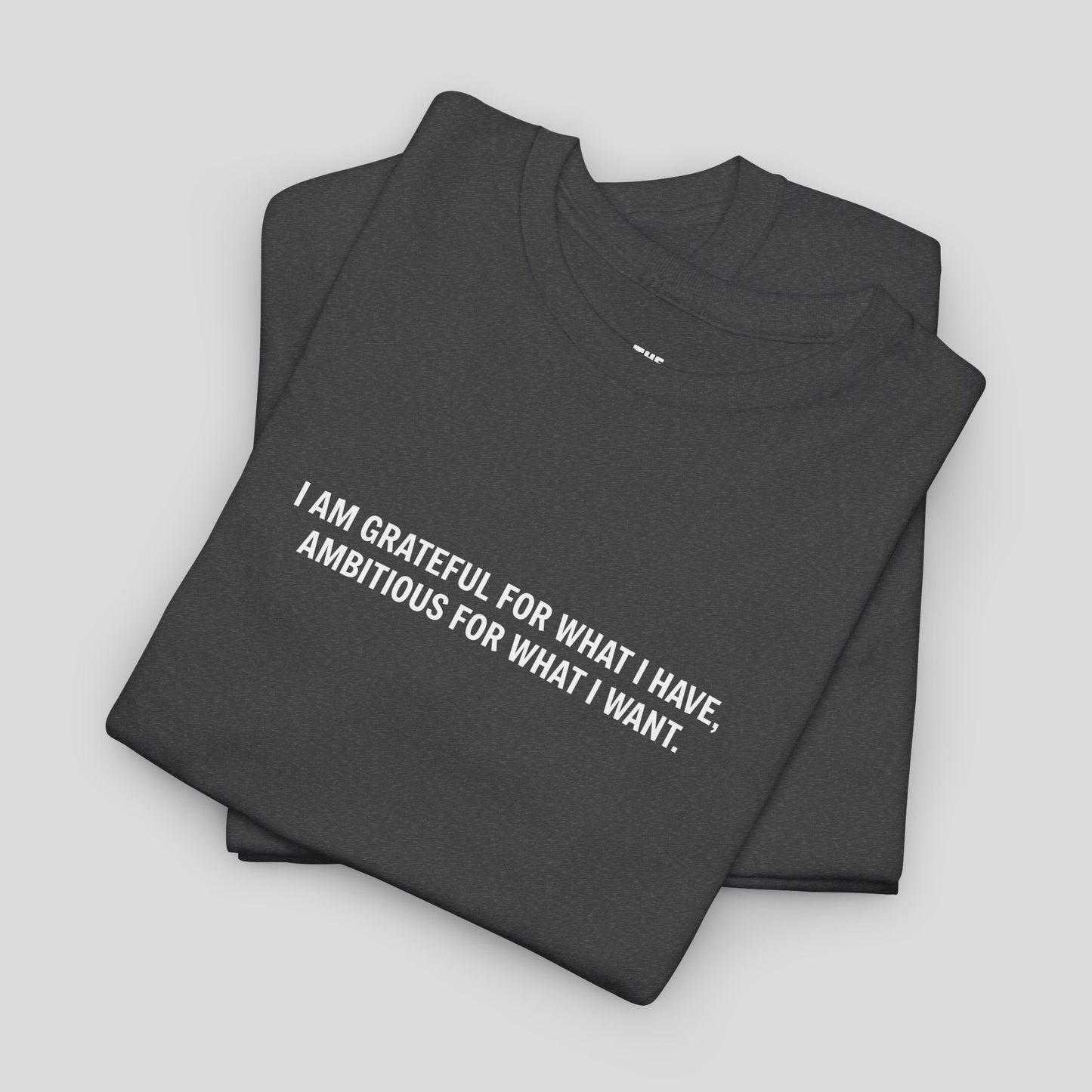 T-SHIRT: “Gratitude and Ambition Mode”