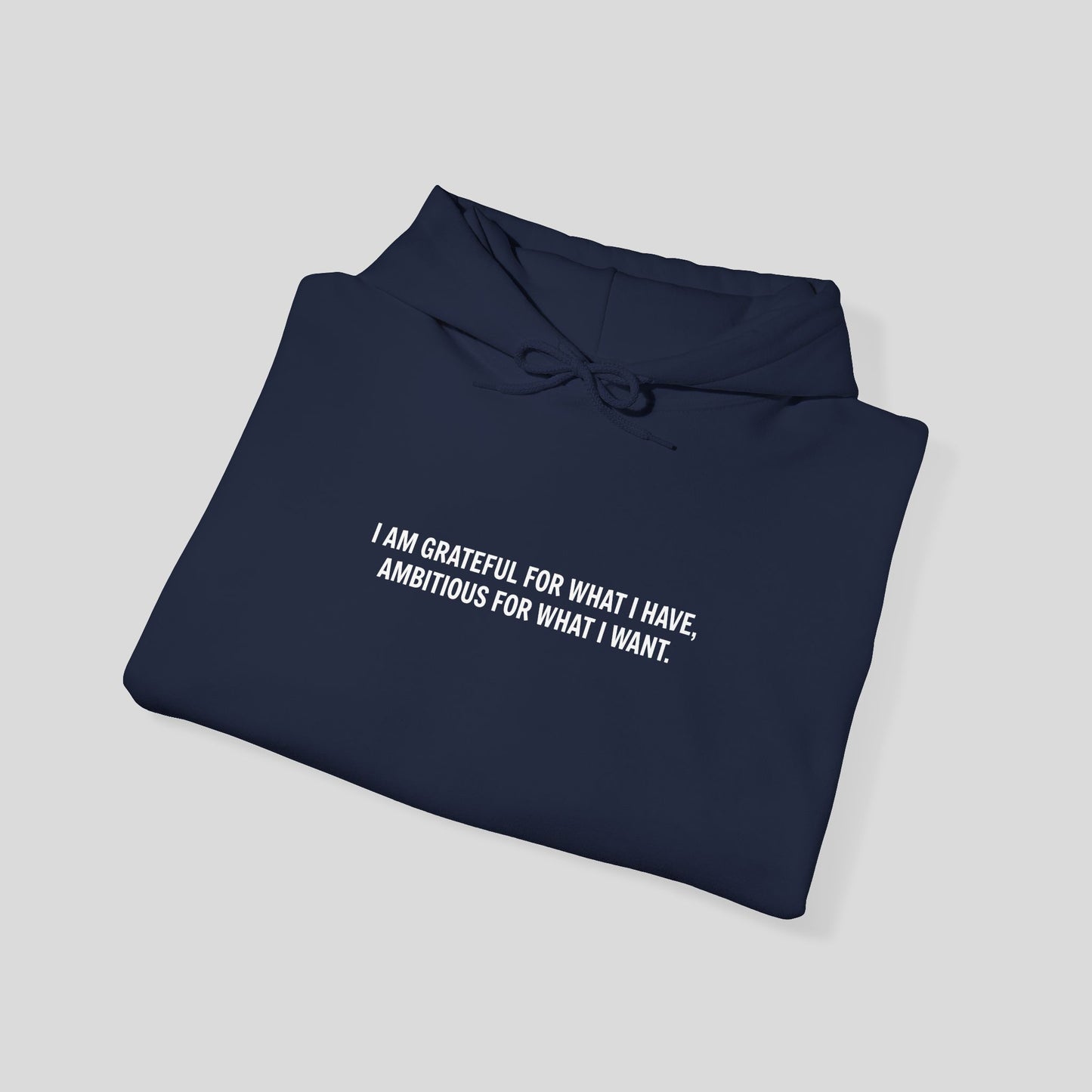 Hoodie: "Gratitude and Ambition Mode"