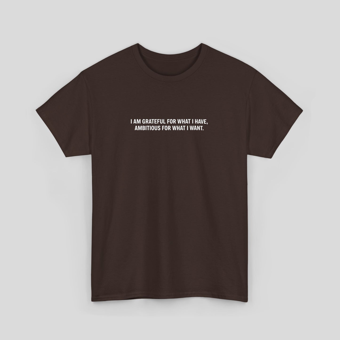 T-SHIRT: “Gratitude and Ambition Mode”