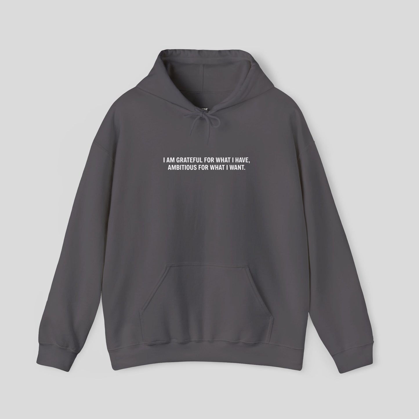 Hoodie: "Gratitude and Ambition Mode"