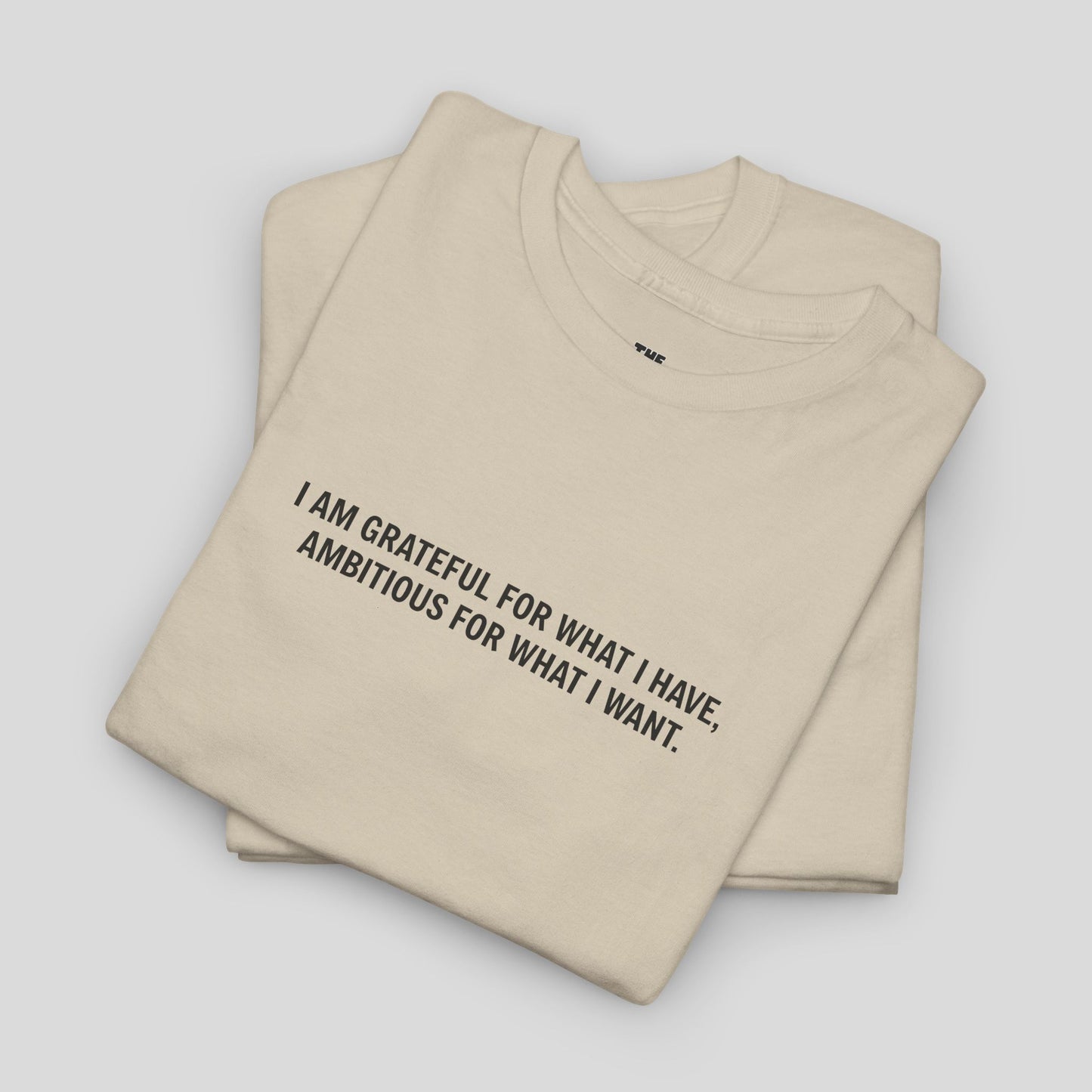 T-SHIRT: “Gratitude and Ambition Mode”