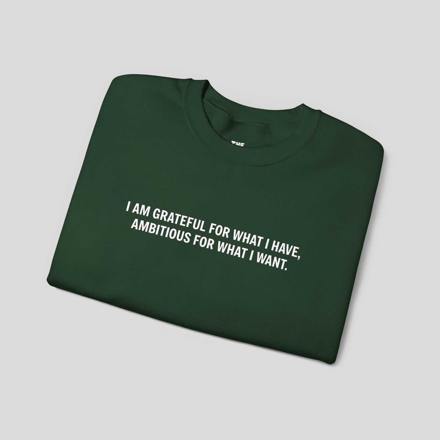 “Gratitude and Ambition Mode” sweatshirt