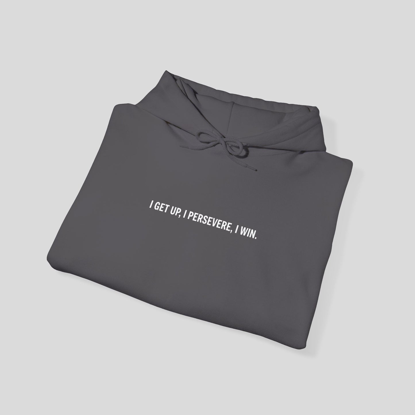 Hoodie: "Perseverance Mode"