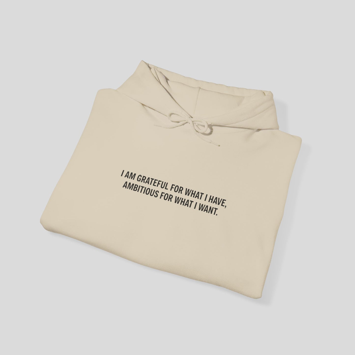 Hoodie: "Gratitude and Ambition Mode"