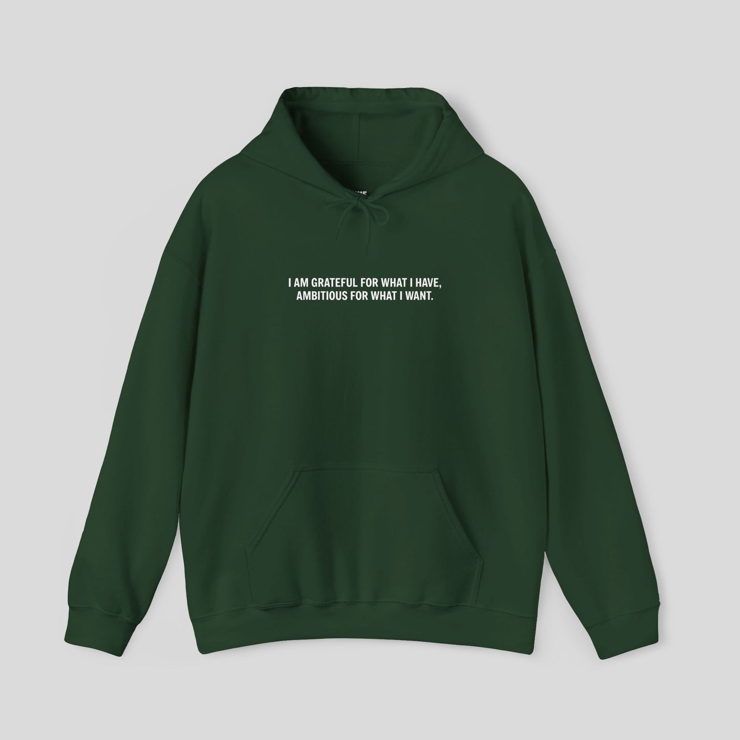 Hoodie: "Gratitude and Ambition Mode"