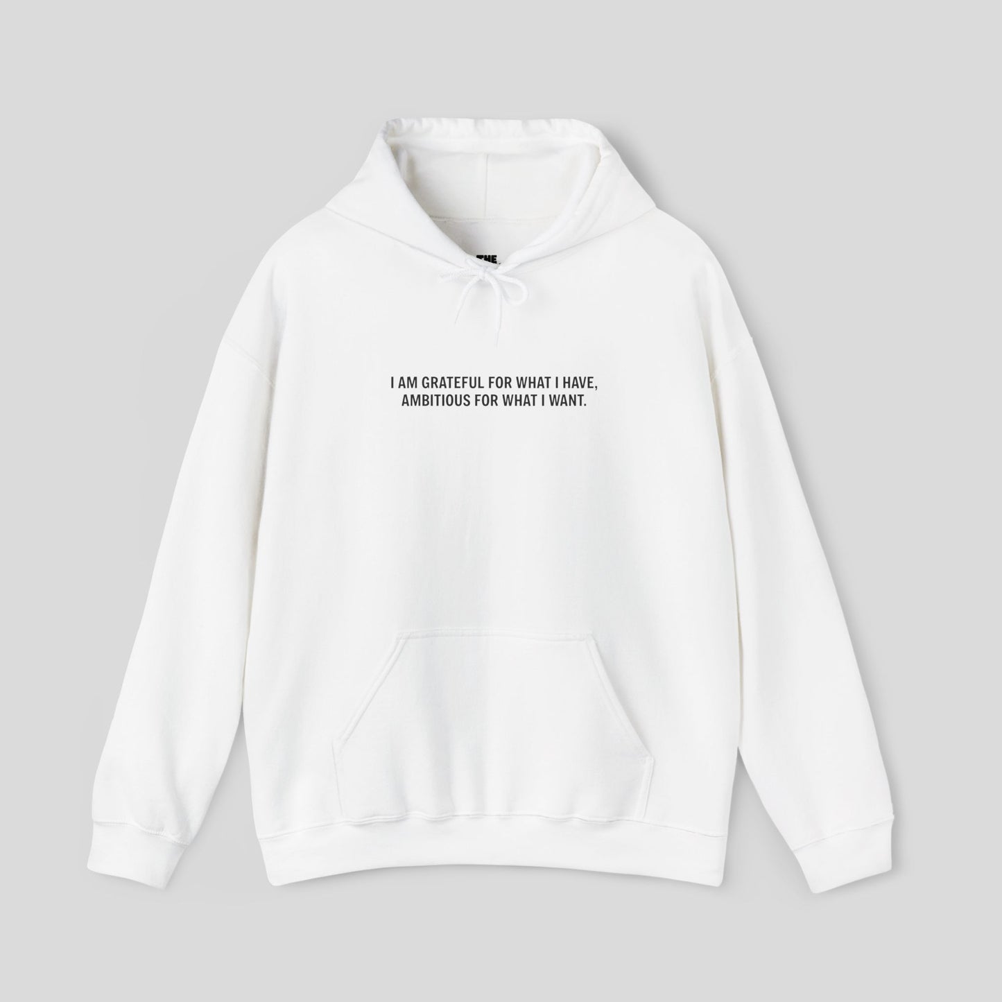 Hoodie: "Gratitude and Ambition Mode"