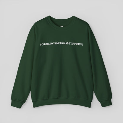 "Visionary Mode" Sweatshirt