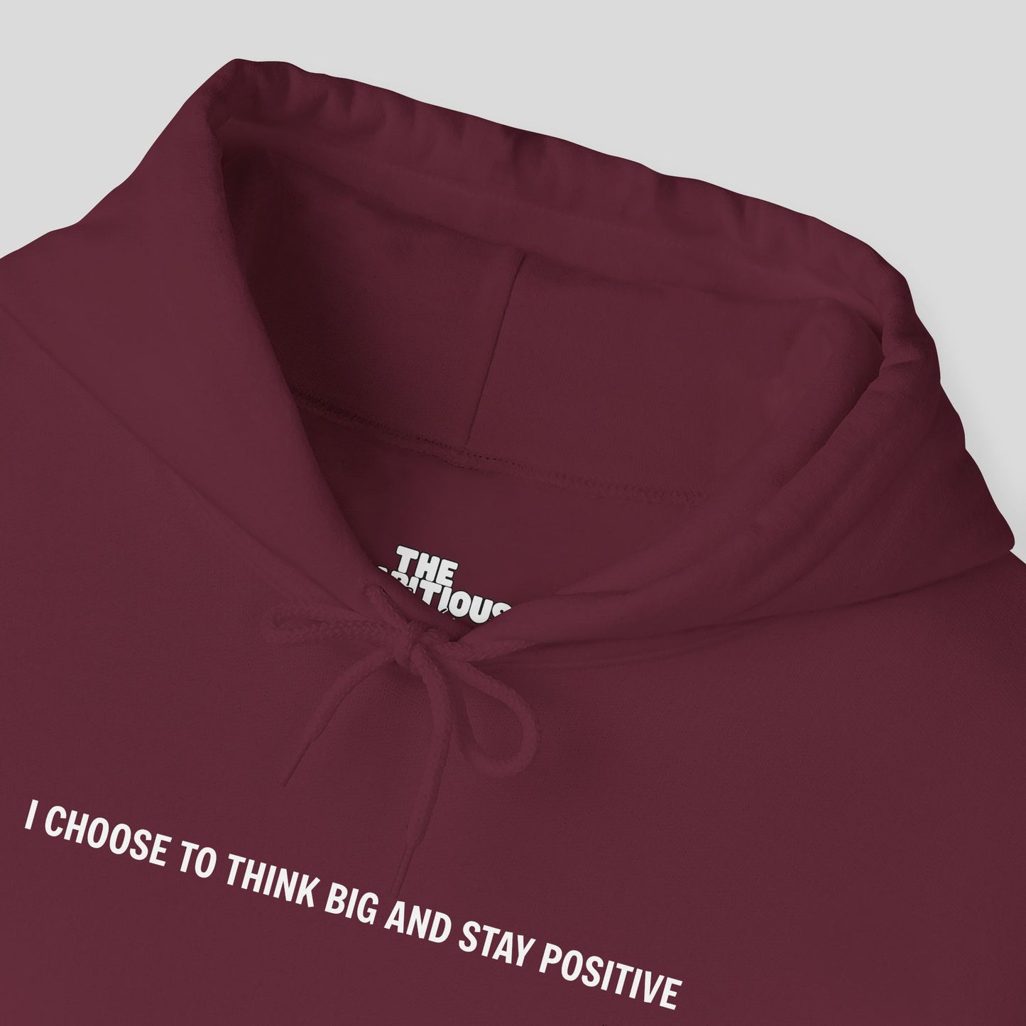 Hoodie: "Visionary Mode"