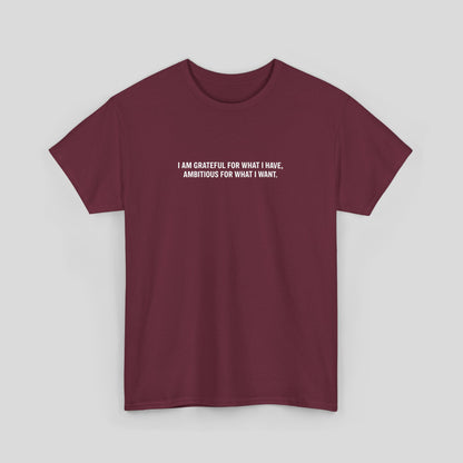 T-SHIRT: “Gratitude and Ambition Mode”