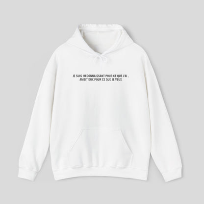 Hoodie : "Mode Gratitude et Ambition"