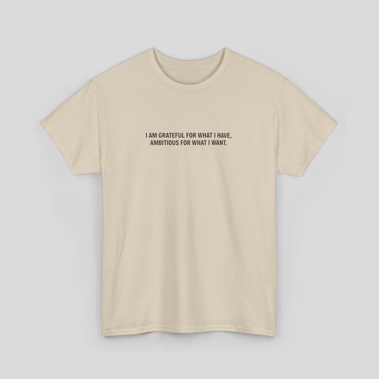 T-SHIRT: “Gratitude and Ambition Mode”