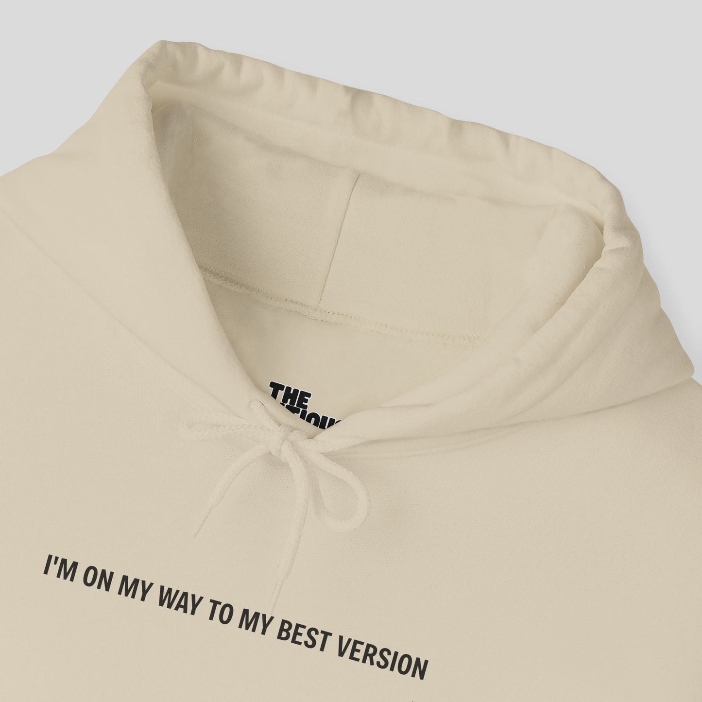 Hoodie: "Evolution Mode"