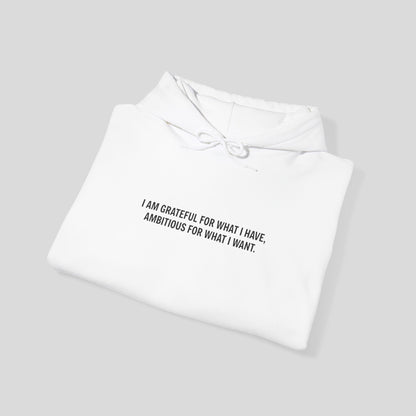Hoodie: "Gratitude and Ambition Mode"