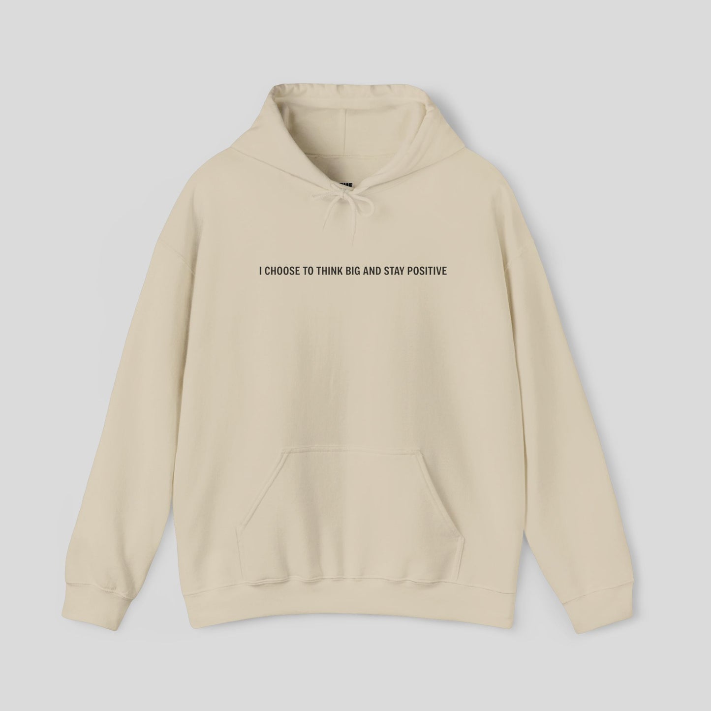 Hoodie: "Visionary Mode"
