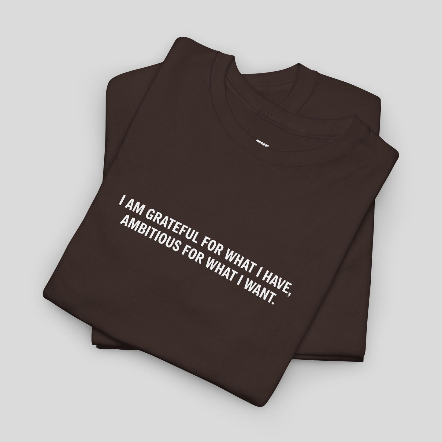 T-SHIRT: “Gratitude and Ambition Mode”