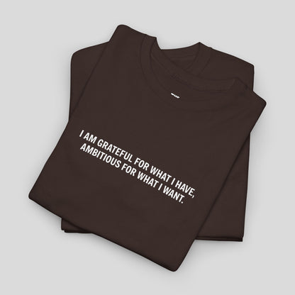 T-SHIRT: “Gratitude and Ambition Mode”