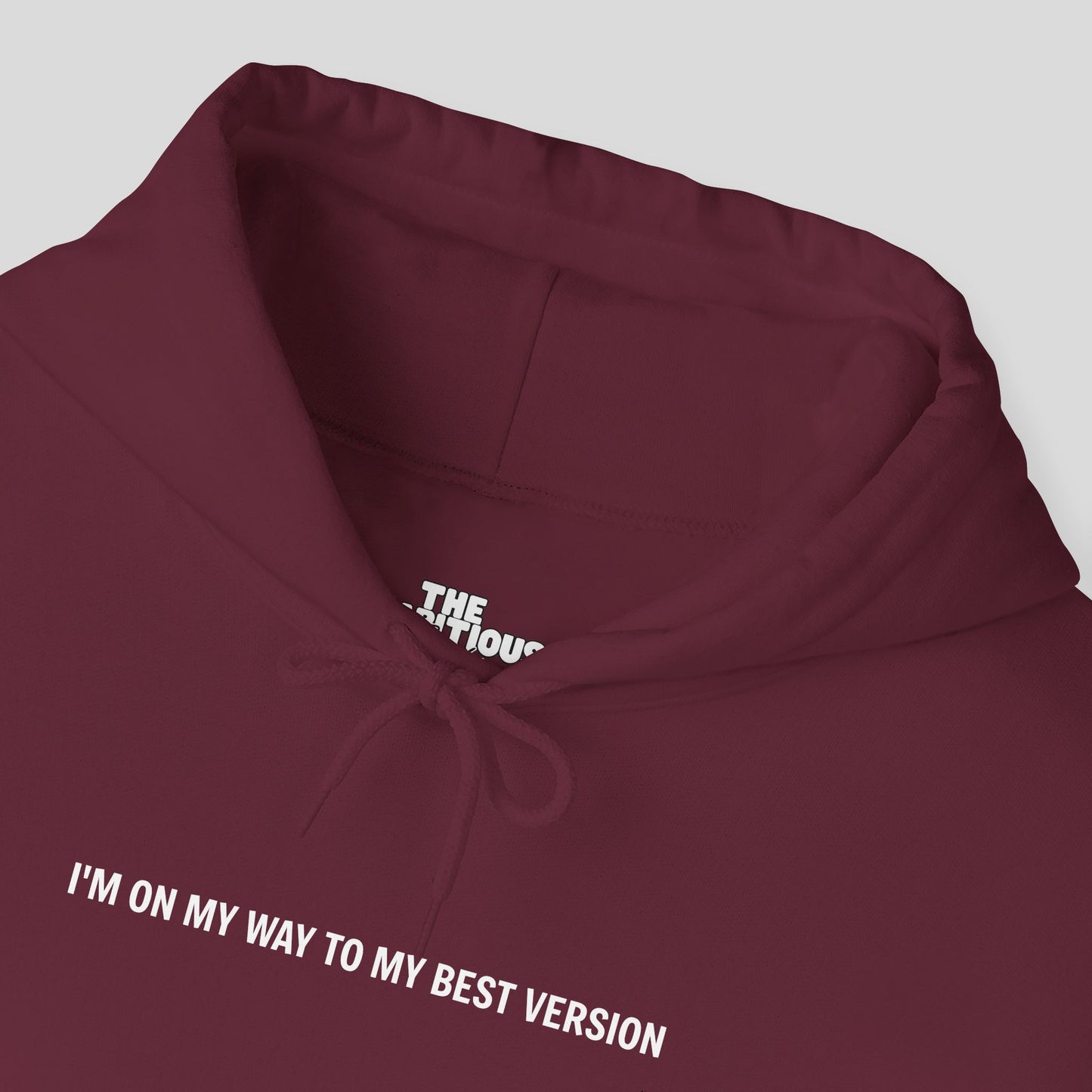 Hoodie: "Evolution Mode"