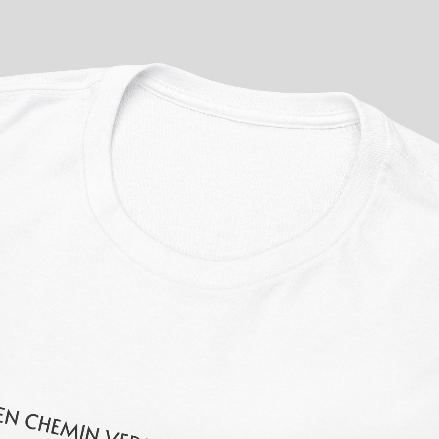 TSHIRT :  "Mode Evolution"
