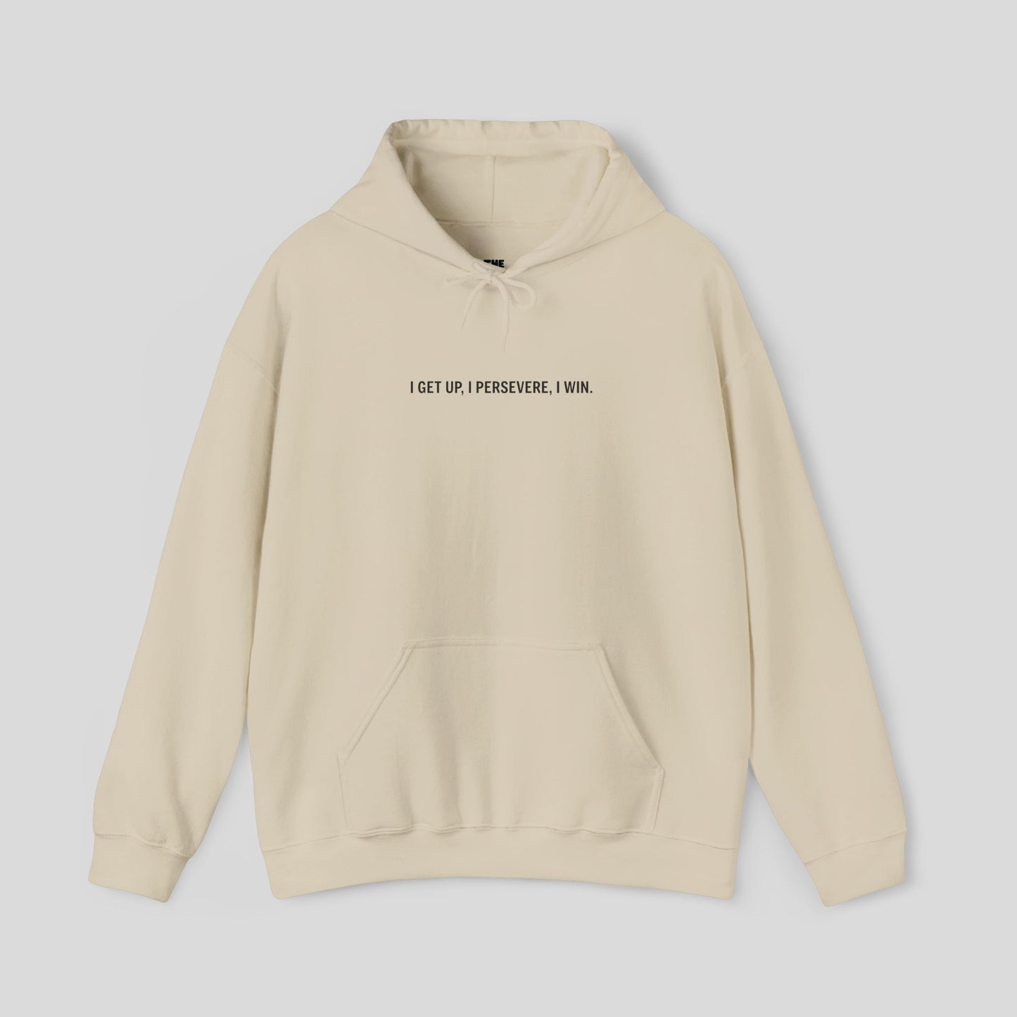 Hoodie: "Perseverance Mode"