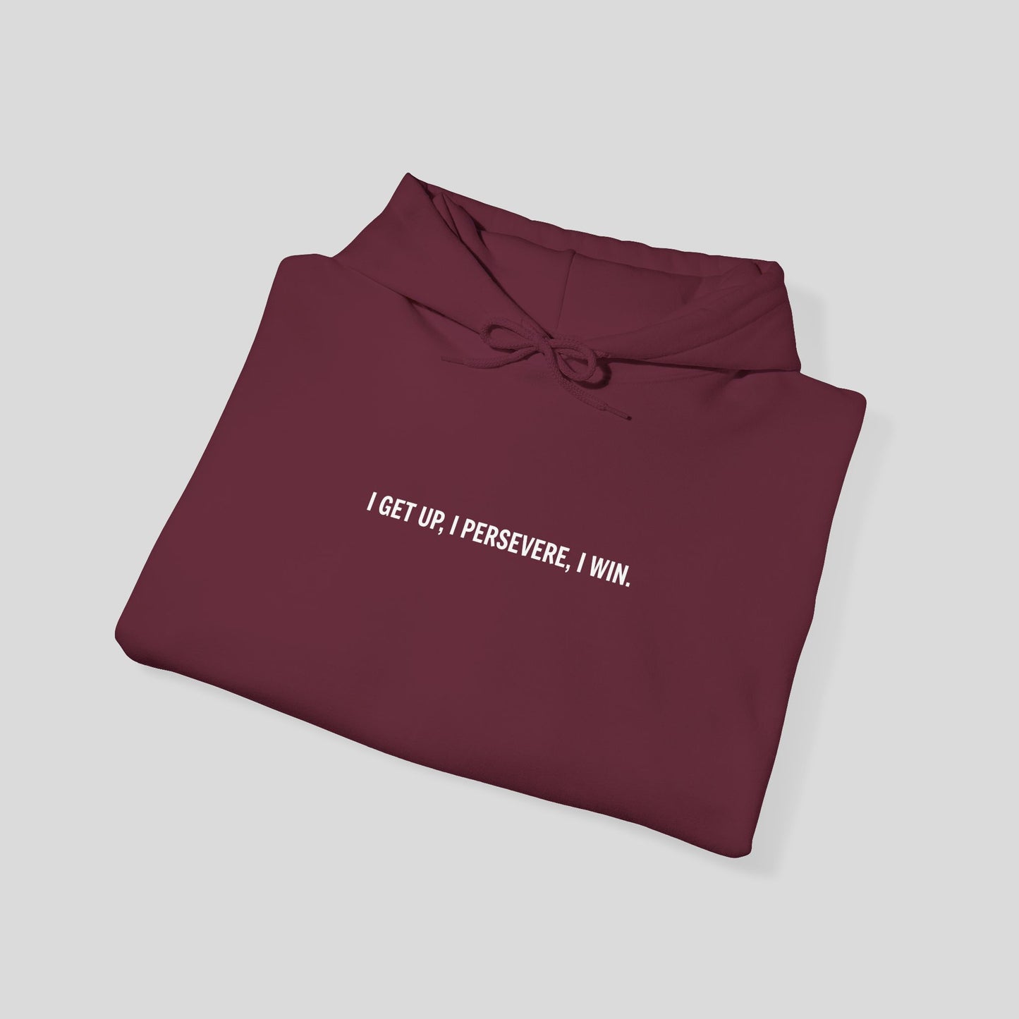 Hoodie: "Perseverance Mode"