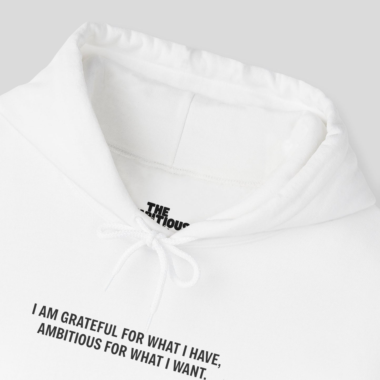 Hoodie: "Gratitude and Ambition Mode"