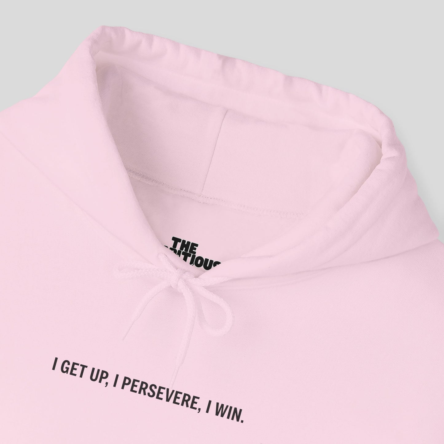 Hoodie: "Perseverance Mode"